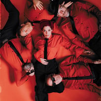 The Avener, Superbus, Maureen et Yuston XIII
