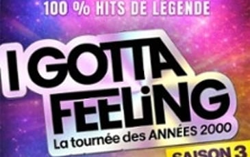 I Gotta Feeling, Saison 3, La Tournée des Années 2000