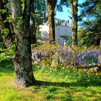 Visite guidée d'un petit hôtel particulier fin XVIII ème aux décors peints d'époque et de son vaste jardin à la faune et la flore variées.