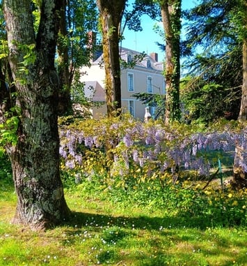 Visite guidée d'un petit hôtel particulier fin XVIII ème aux décors peints d'époque et de son vaste jardin à la faune et la flore variées.