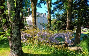 Visite guidée d'un petit hôtel particulier fin XVIII ème aux décors peints d'époque et de son vaste jardin à la faune et la flore variées.
