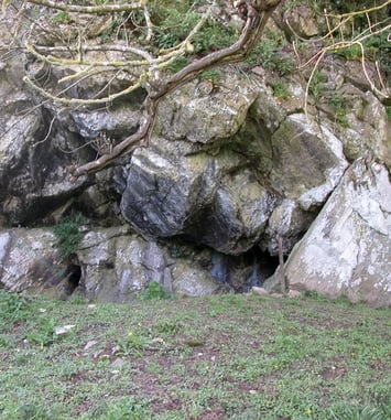 La Grotte de la Roche, un patrimoine préhistorique à préserver