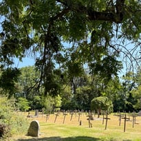 Visite du cimetière historique de l'établissement de psychiatrie, Mayenne