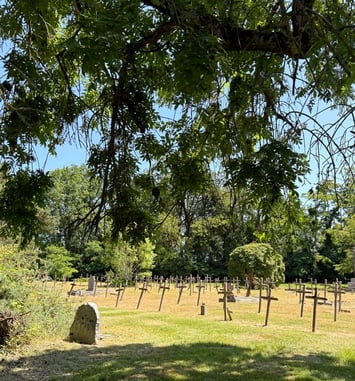 Visite du cimetière historique de l'établissement de psychiatrie, Mayenne