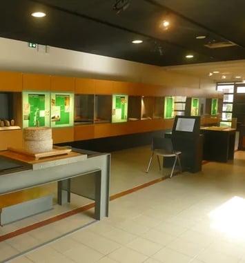 Visite guidée du musée de Jublains