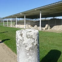 Les Grands monuments de Jublains antique