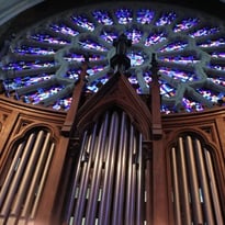 Audition découverte du grand orgue