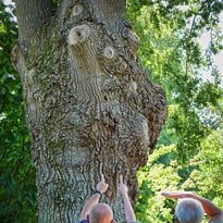Nature et patrimoine bâti