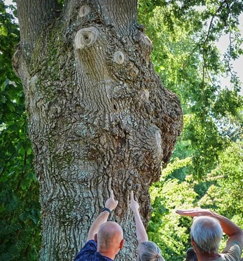 Nature et patrimoine bâti