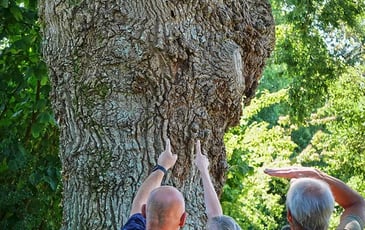 Nature et patrimoine bâti