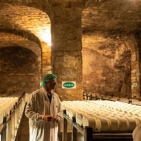 Projection : au cœur des fromages AOP