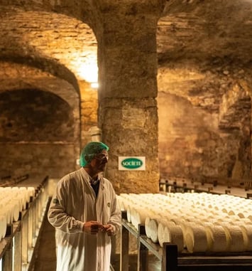 Projection : au cœur des fromages AOP