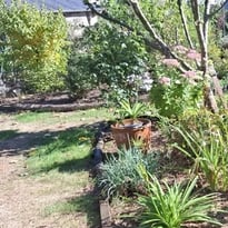 Le jardin de Madame Barth