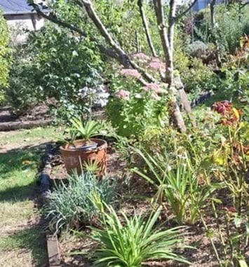 Le jardin de Madame Barth