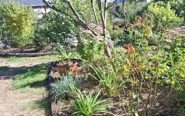 Le jardin de Madame Barth