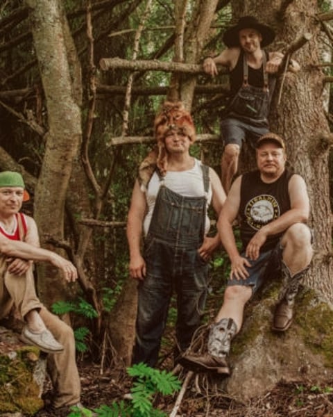 Steve ‘n’ Seagulls
