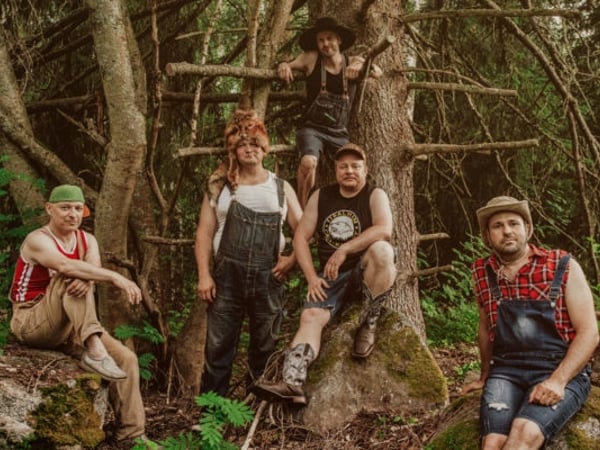 Steve ‘n’ Seagulls
